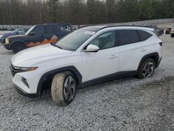 Salvage cars for sale at Gainesville, GA auction: 2024 Hyundai Tucson Limited