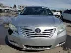 2009 Toyota Camry Hybrid