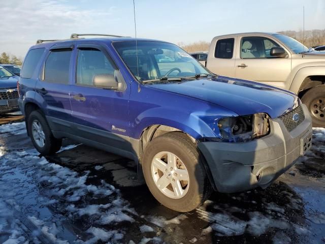 2006 Ford Escape HEV