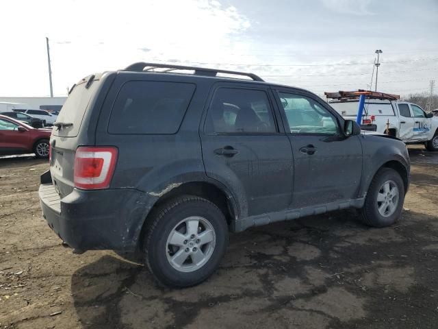 2009 Ford Escape XLT