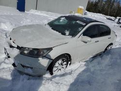 Salvage cars for sale at auction: 2013 Honda Accord EXL