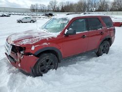 Ford Escape xls salvage cars for sale: 2012 Ford Escape XLS