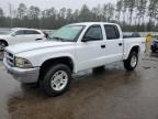 2003 Dodge Dakota Quad SLT