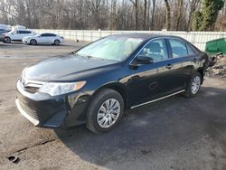 Salvage cars for sale at Glassboro, NJ auction: 2013 Toyota Camry L