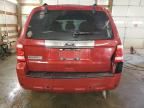 2010 Ford Escape Limited