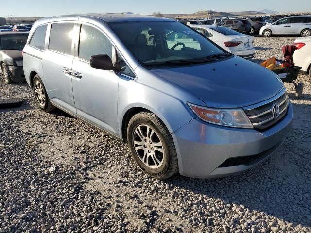 2013 Honda Odyssey EXL