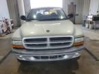 2003 Dodge Dakota Quad Sport