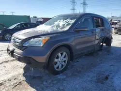 Salvage cars for sale at Elgin, IL auction: 2009 Honda CR-V EXL