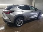 2022 Lexus NX 350H