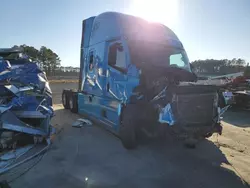 Salvage trucks for sale at Lumberton, NC auction: 2023 Freightliner Cascadia 126