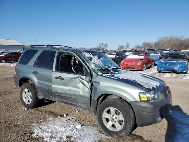 2005 Ford Escape XLT