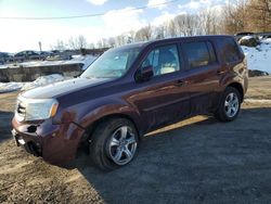 Salvage cars for sale at Marlboro, NY auction: 2013 Honda Pilot EXL