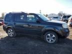 2014 Honda Pilot EXL