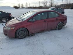 Honda Civic salvage cars for sale: 2009 Honda Civic DX