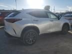 2024 Lexus NX 350H Base