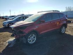 Ford Escape se salvage cars for sale: 2017 Ford Escape SE