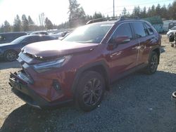 Salvage cars for sale at Graham, WA auction: 2023 Toyota Rav4 Limited