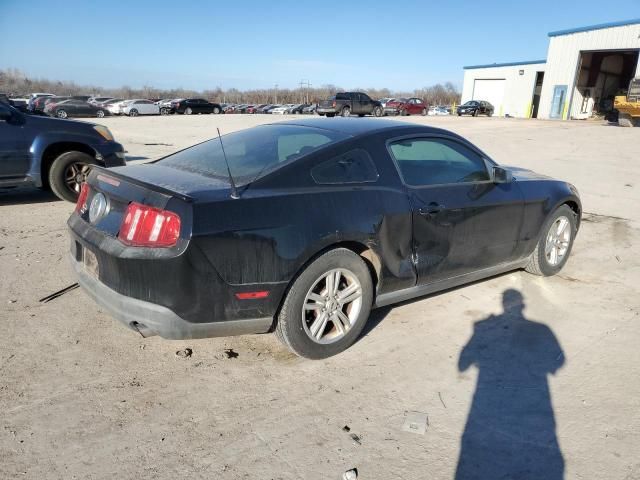 2010 Ford Mustang