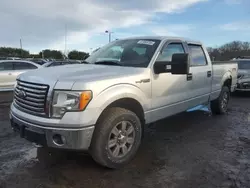 Ford salvage cars for sale: 2010 Ford F150 Supercrew