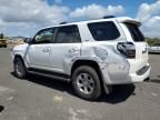 2024 Toyota 4runner SR5/SR5 Premium