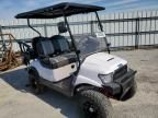 2021 Golf Cart Cart