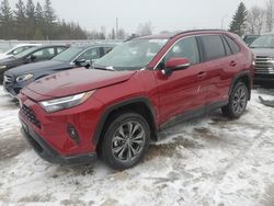 Salvage cars for sale at Bowmanville, ON auction: 2024 Toyota Rav4 XLE