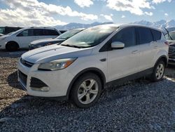 Salvage cars for sale at Magna, UT auction: 2016 Ford Escape SE