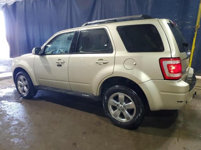 2011 Ford Escape Limited