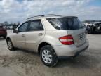 2007 Mercedes-Benz ML 350