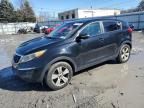 2013 KIA Sportage Base