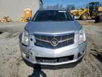 2011 Cadillac SRX Premium Collection