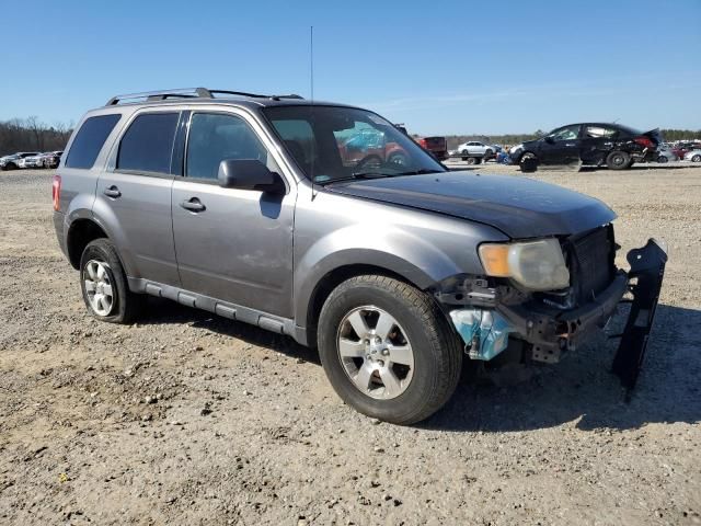 2010 Ford Escape Limited