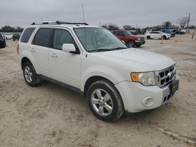 2011 Ford Escape Limited