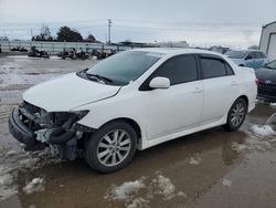 Salvage cars for sale at Nampa, ID auction: 2010 Toyota Corolla Base