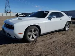 Salvage cars for sale at Adelanto, CA auction: 2019 Dodge Challenger SXT