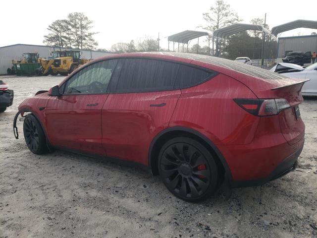 2024 Tesla Model Y