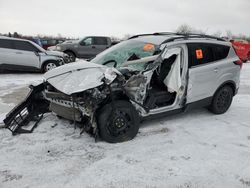 Salvage cars for sale from Copart London, ON: 2019 Ford Escape SEL