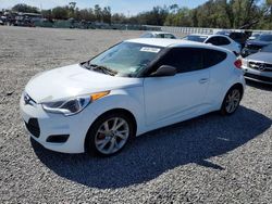 Salvage cars for sale at Riverview, FL auction: 2016 Hyundai Veloster