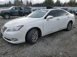 Lexus salvage cars for sale: 2012 Lexus ES 350