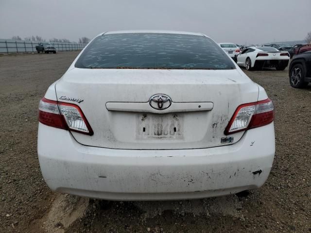 2009 Toyota Camry Hybrid