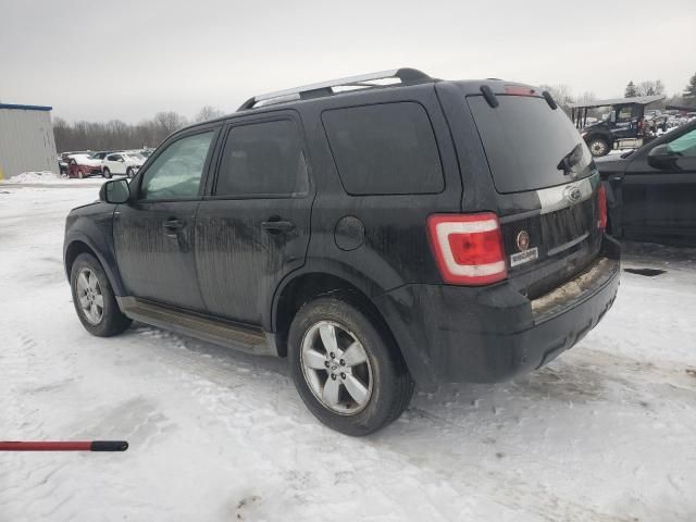 2010 Ford Escape Limited