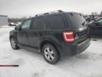 2010 Ford Escape Limited