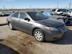 2009 Toyota Camry Hybrid