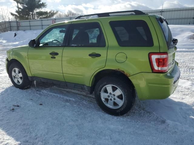 2012 Ford Escape XLT