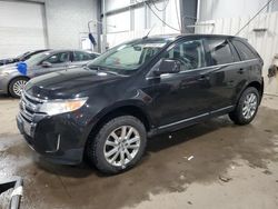 Salvage cars for sale at Ham Lake, MN auction: 2011 Ford Edge Limited