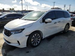 Honda salvage cars for sale: 2023 Honda Odyssey EXL