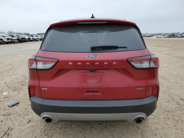 2020 Ford Escape SE Sport