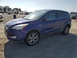 Salvage cars for sale at Lumberton, NC auction: 2013 Ford Escape SEL