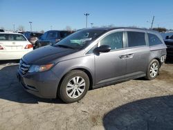 Salvage cars for sale at Indianapolis, IN auction: 2015 Honda Odyssey EXL