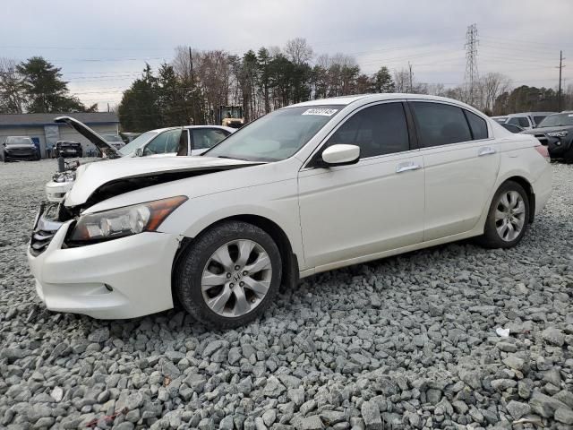 2009 Honda Accord EXL